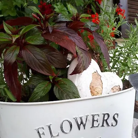 Lisi Διαμέρισμα Sankt Gallenkirch