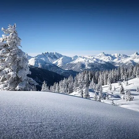 Lisi Апартаменты *